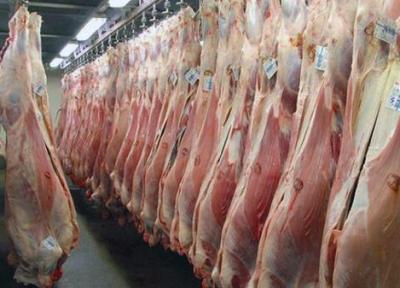 دستور دولت برای واردات گوشت گرم گوسفندی تا سقف 10 هزار تن