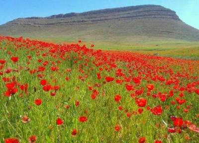 هوای استان مرکزی خنک تر می گردد