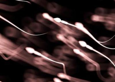 تعداد اسپرم مردان نابارور در سرتاسر دنیا در حال کاهش روزافزونی است! در 40 سال گذشته تعداد اسپرم نصف شده است!