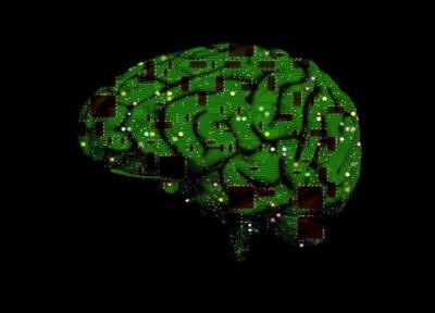 آنالیز نواحی خاص مغز با یاری هوش مصنوعی
