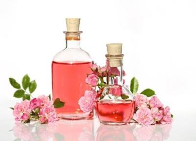 خواص جادویی گلاب؛ از تسکین درد و تقویت روحیه تا ضد پیری